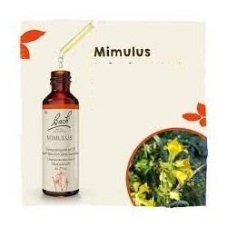MIMULUS 20 ML FLORAL BACH